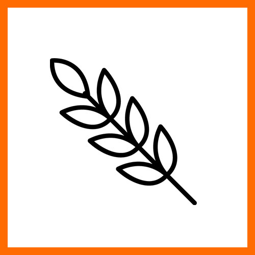 Зображувальна ТМ